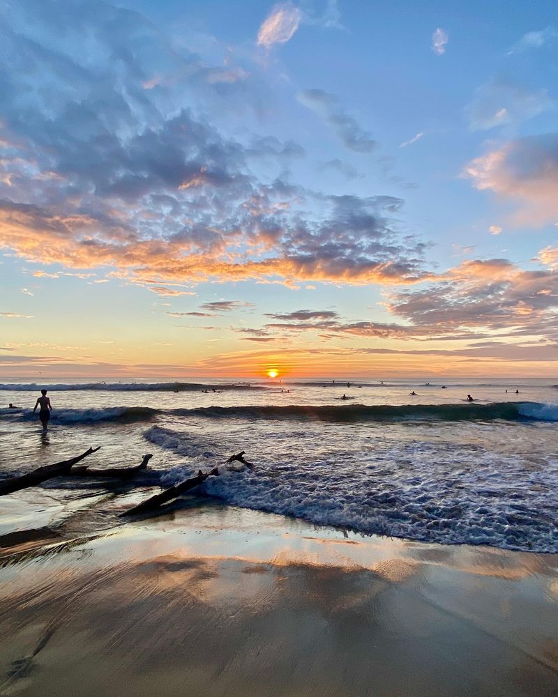 Playa Avellanas