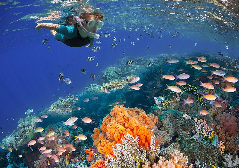 Cozumel