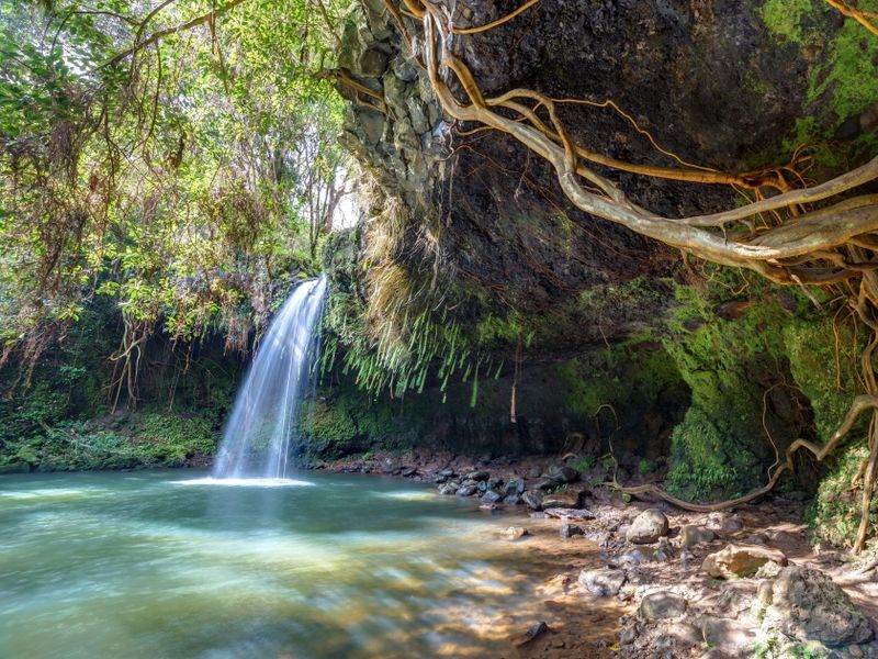 Twin Falls Trail, Maui