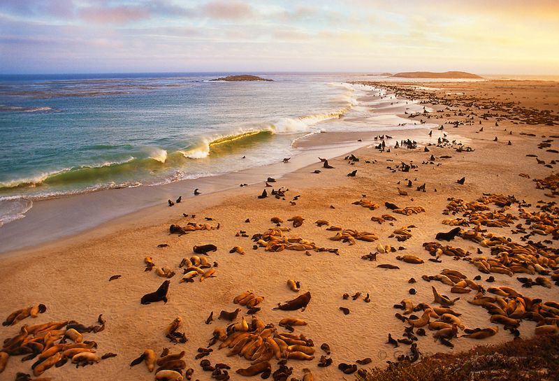 San Miguel Island, California