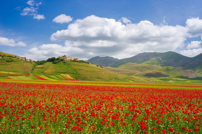 Castelluccio