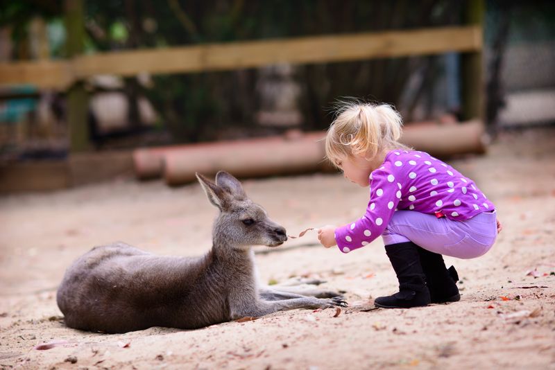 Australia - Best for Outdoor Lovers