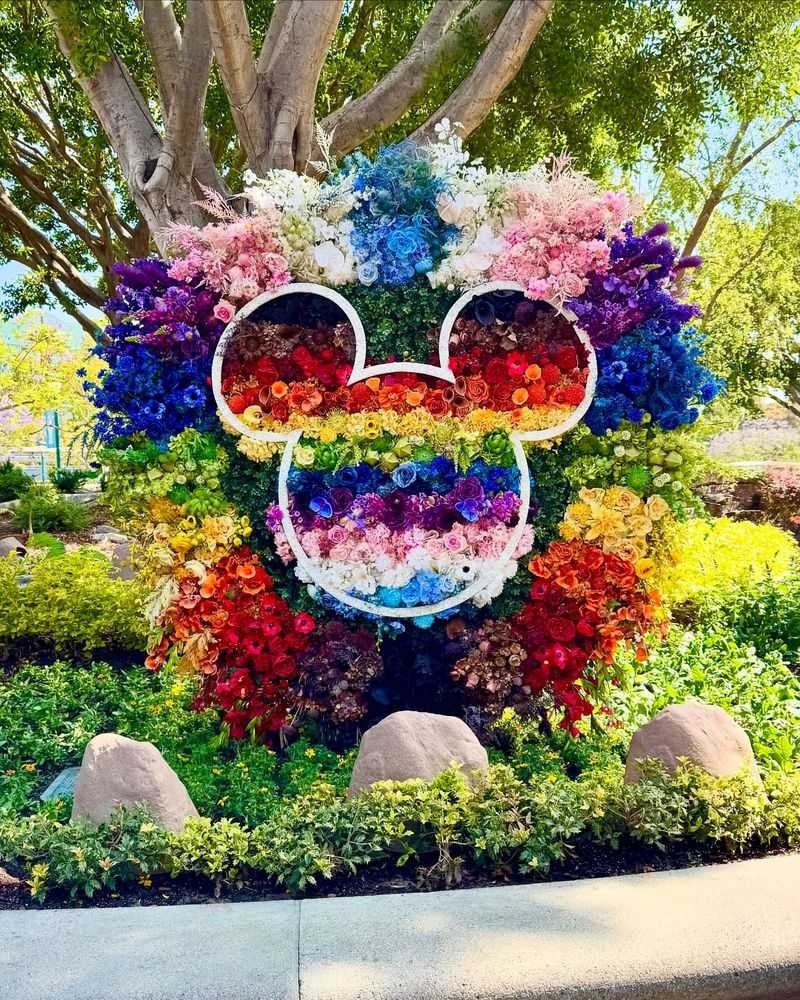 Carnival of Colors
