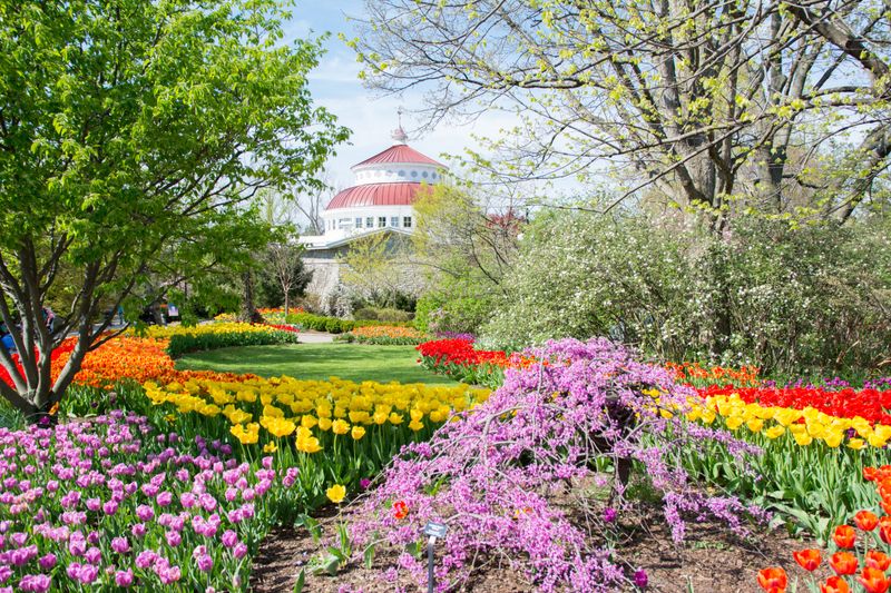 Cincinnati Zoo & Botanical Garden