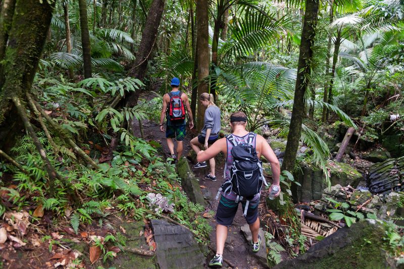 El Yunque National Forest
