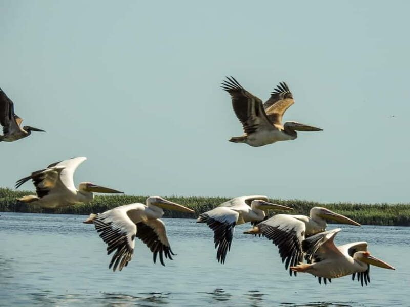 Danube Delta, Romania