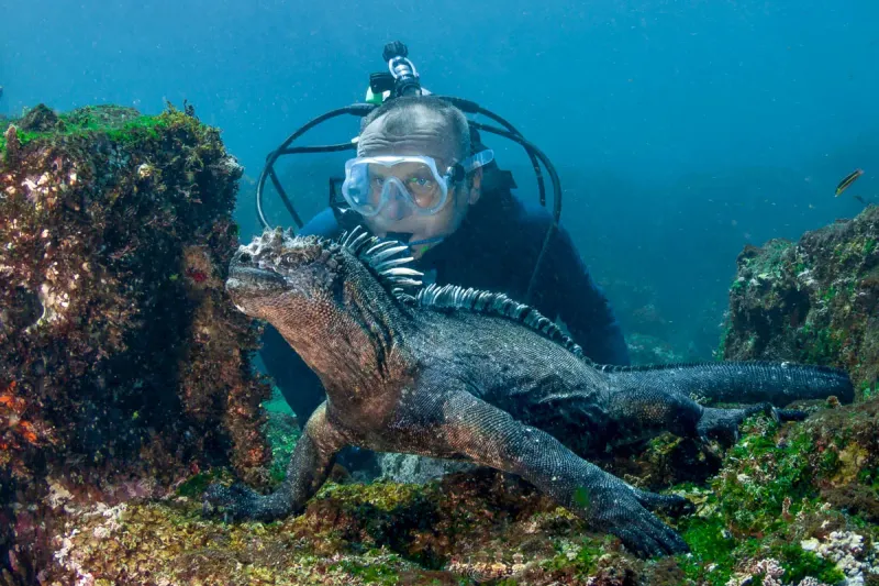 Galápagos Islands, Ecuador