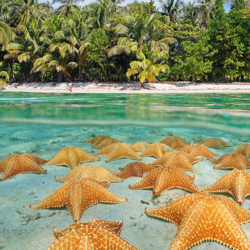 Playa Estrella, Panama
