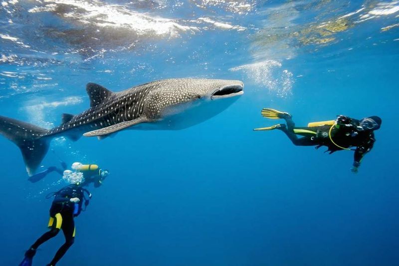 Maldives