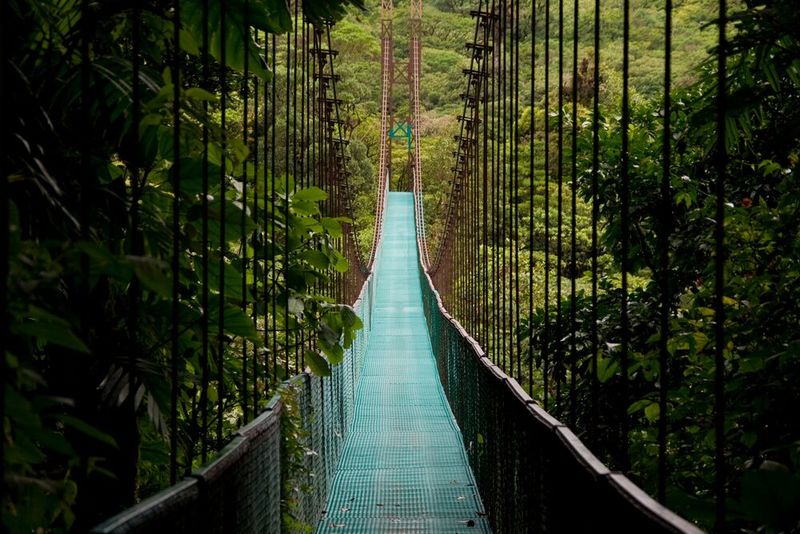Costa Rica's Cloud Forests