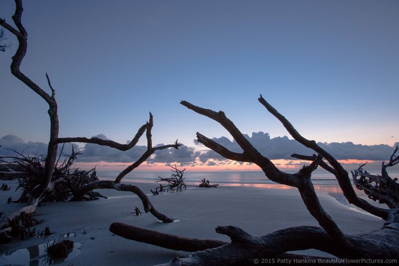 South Carolina: Hunting Island State Park