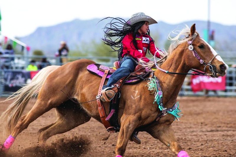Rodeo Shows