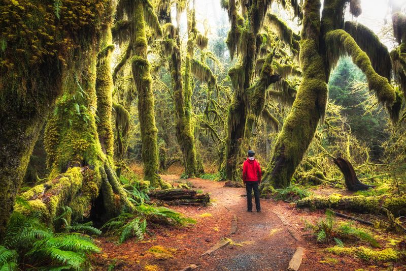 Olympic National Park
