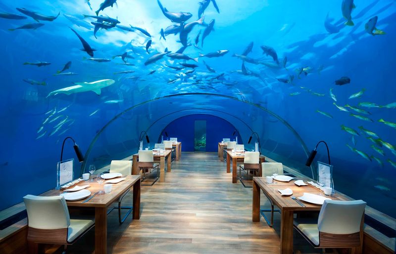 Food & Dining
