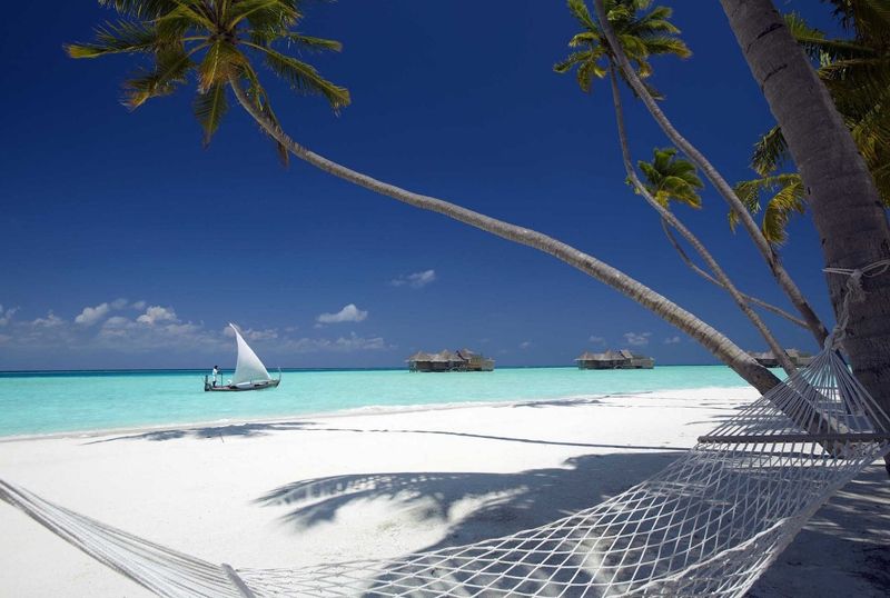 Hammock by the Beach