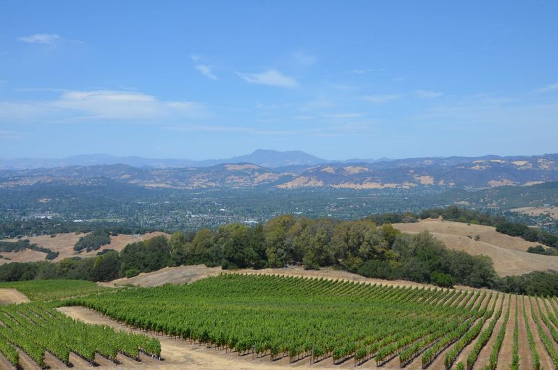 Santa Rosa, California: Wine Country Windfall