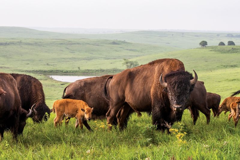 Osage Nation Reservation