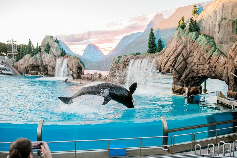 SeaWorld (multiple locations)