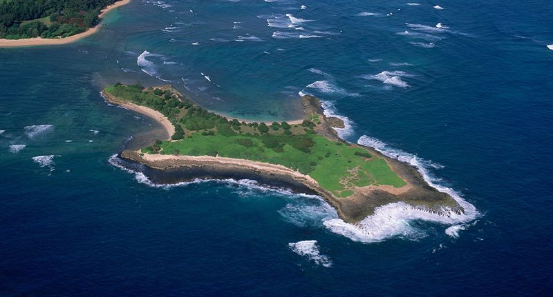 Goat Island (Mokuauia)