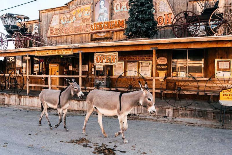 Oatman, Arizona – Donkeys Rule the Streets