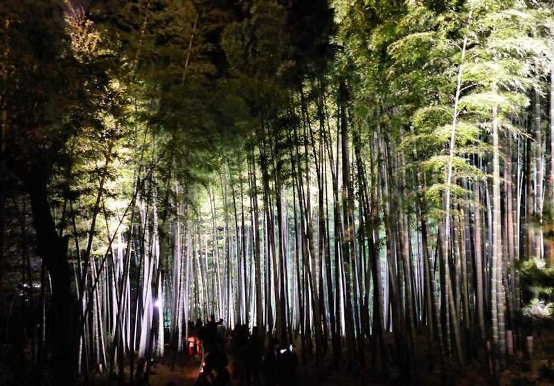 Kodai-ji Temple During Hotaru Tobihajimeru (Fireflies Begin Flying)