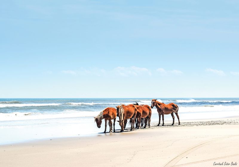 Outer Banks, North Carolina