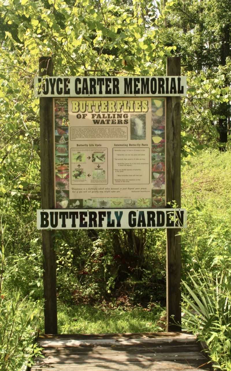Butterfly Garden and Native Plant Paradise
