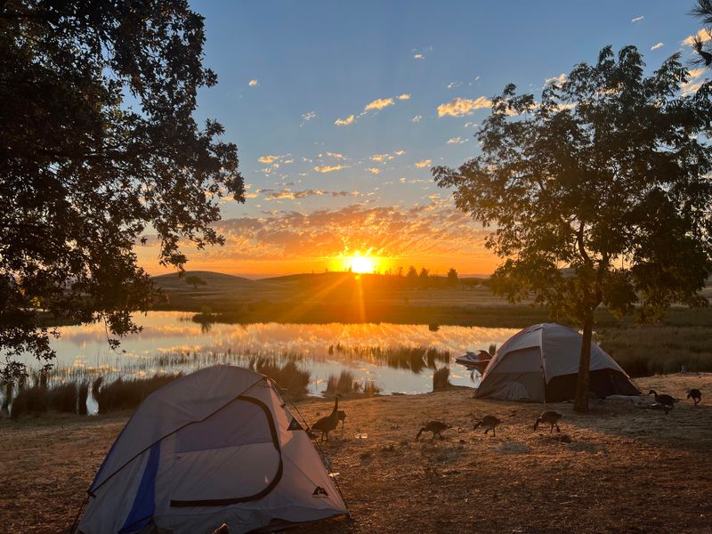Family-Friendly Campgrounds