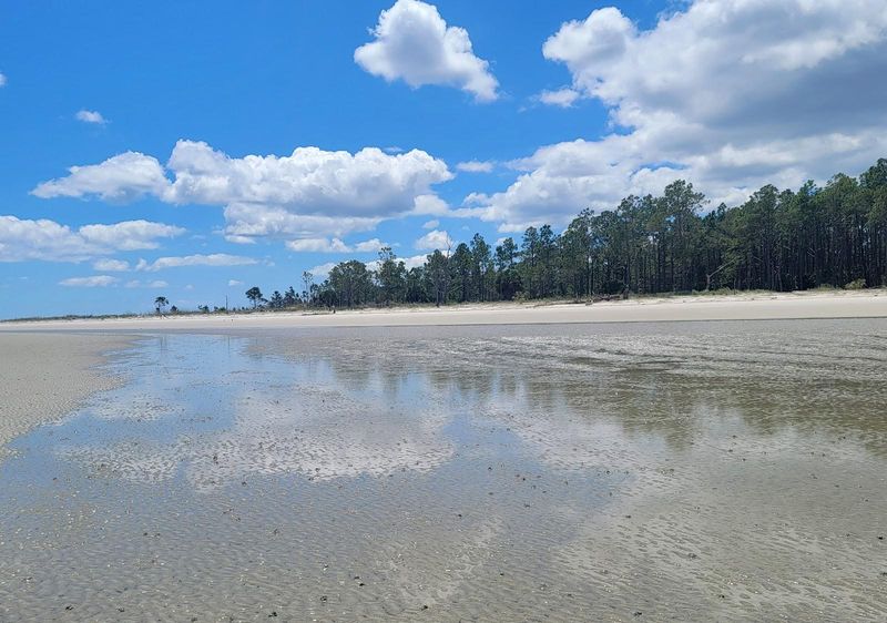 St. Catherines Island Beach