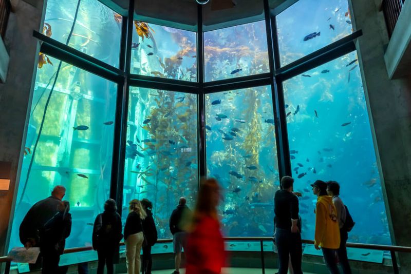 Monterey Bay Aquarium (CA)