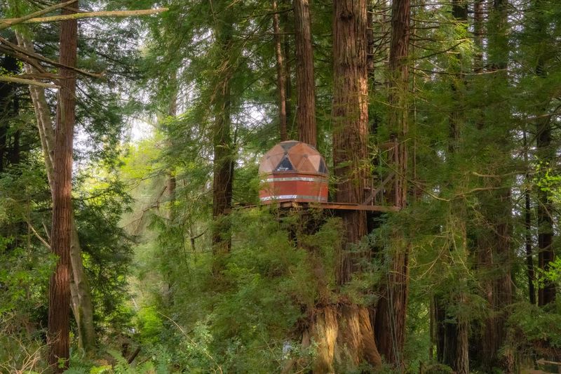 Bayside Treehouse Retreat