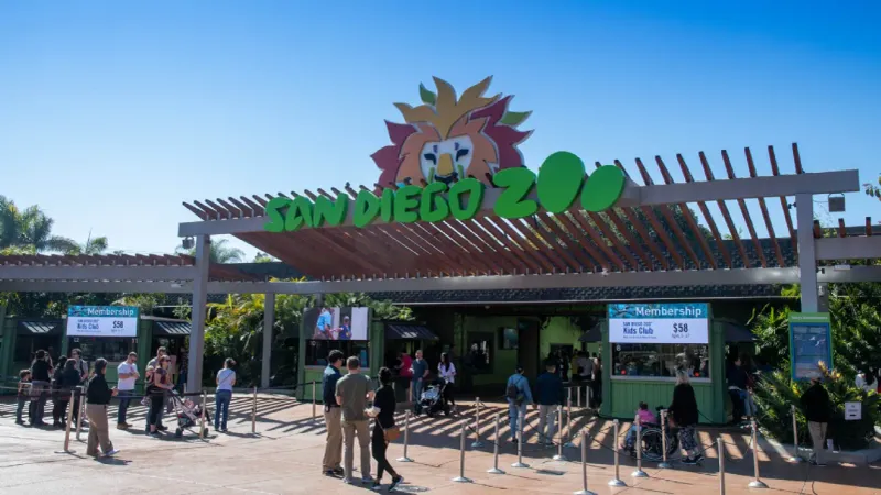 Pacific Paradise in San Diego