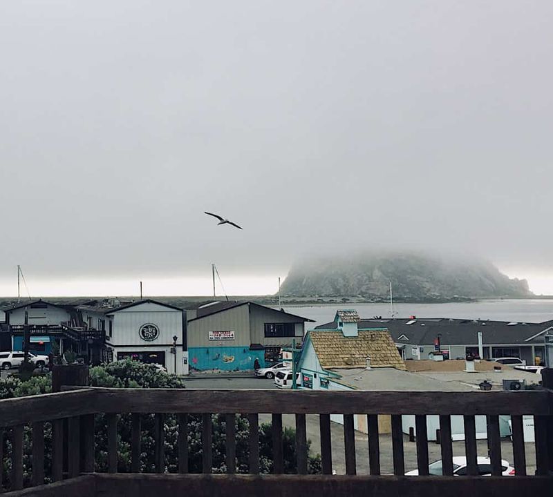 Central Coast Vibes