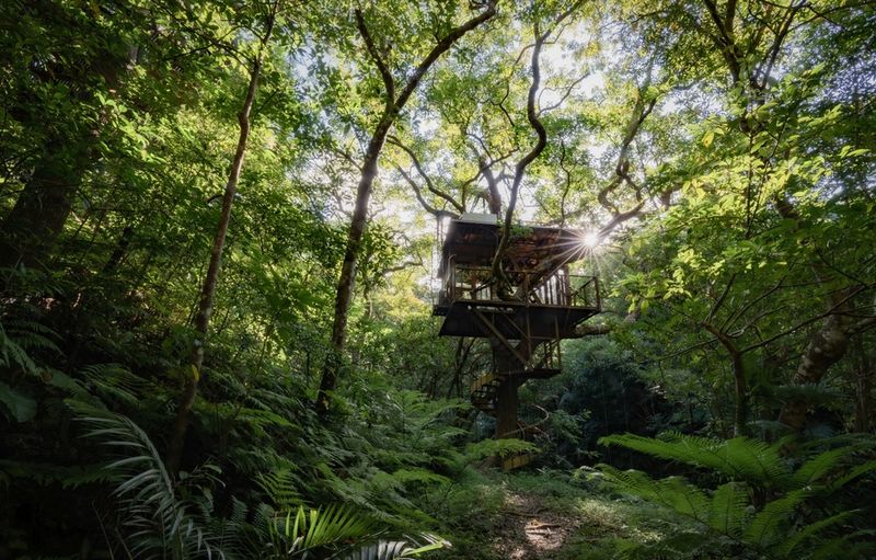Secret Alternative 5: Okinawa Eco Lodge