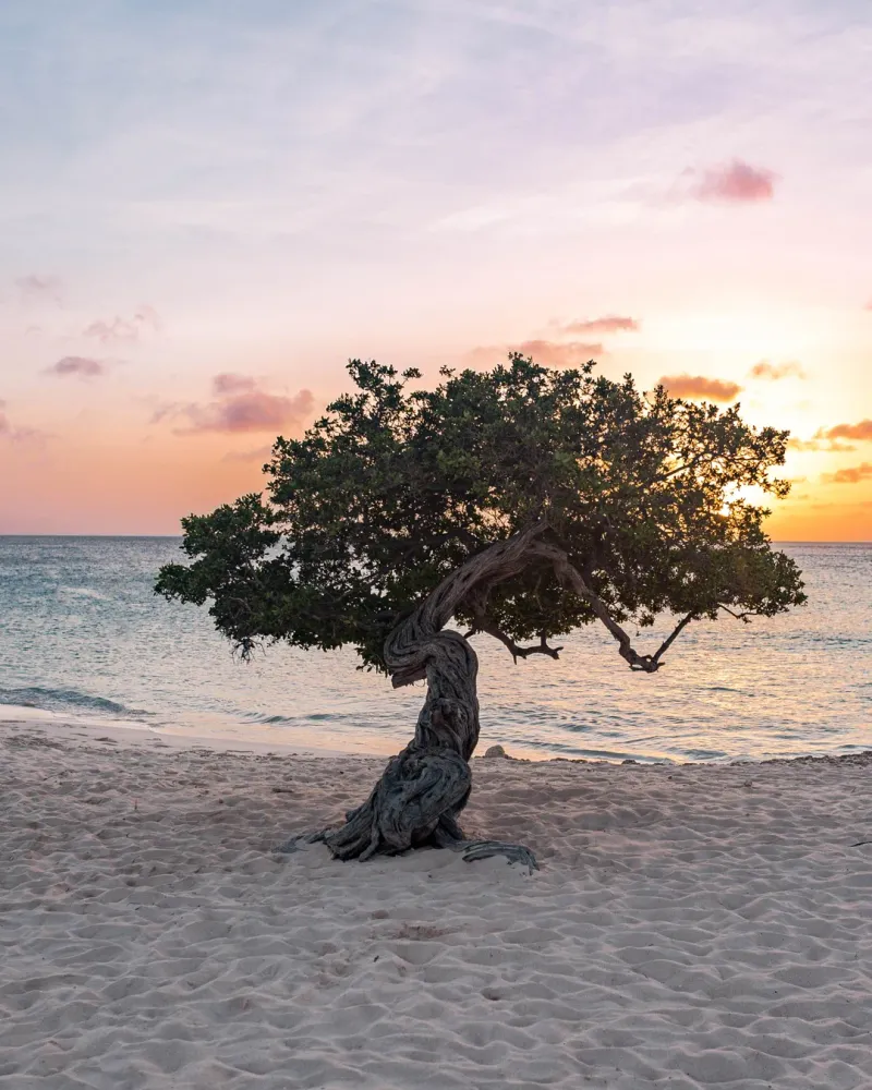 Eagle Beach, Aruba