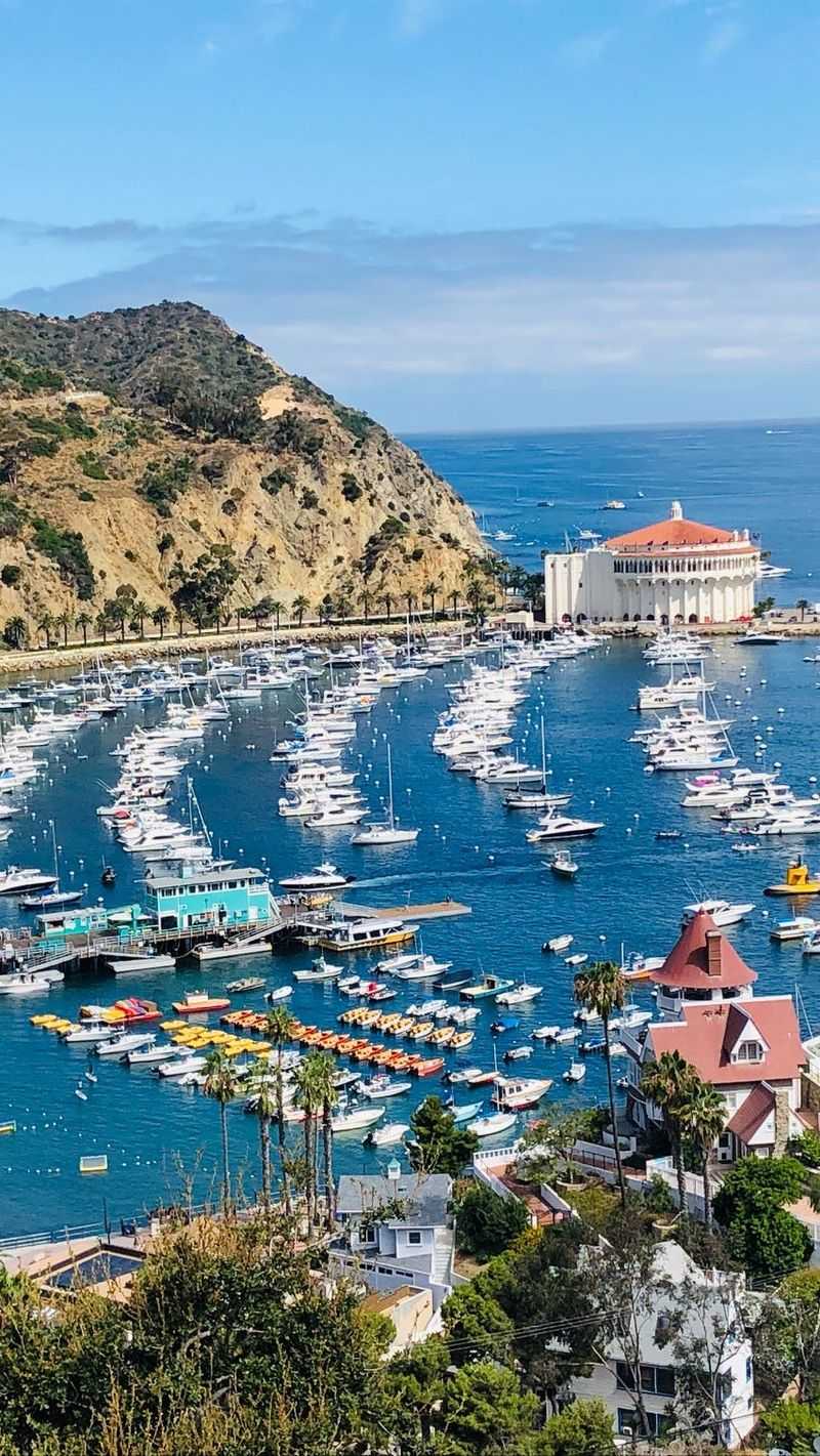Island Escape to Catalina Island