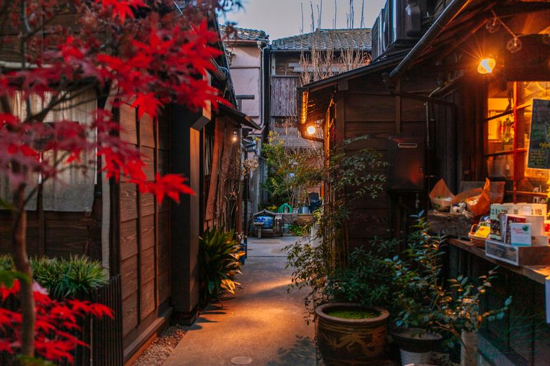 Yanaka District