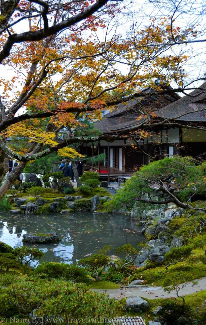 Nanzen-ji Temple When Kiri Hajimete Momiji (Paulownia Leaves First Turn Yellow)