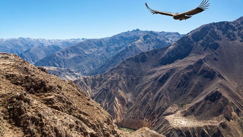 Colca Canyon, Peru