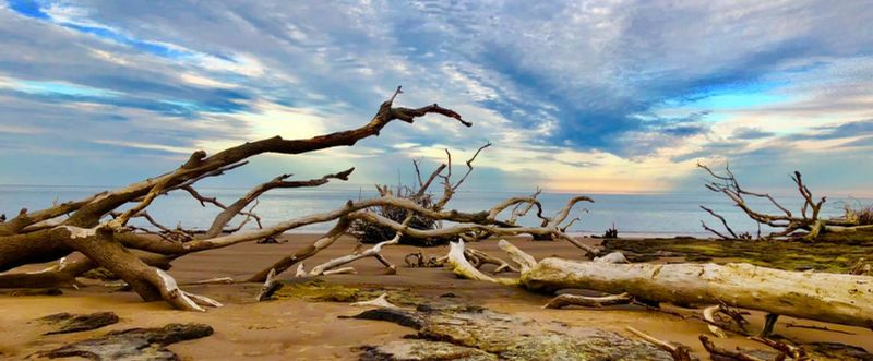 Boneyard Beach, Florida