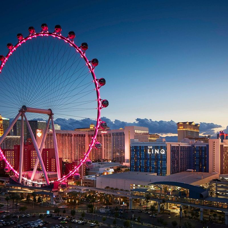 Worth: The High Roller