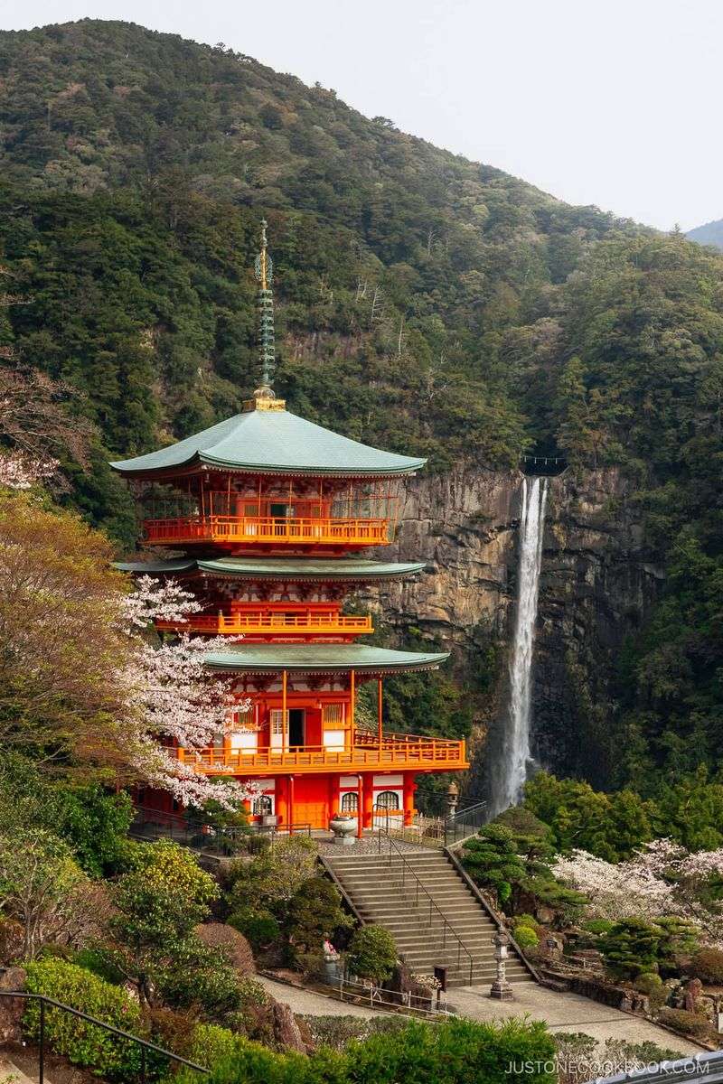 Nachi Falls Trail