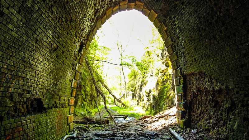 Hidden Jewel of Shenandoah