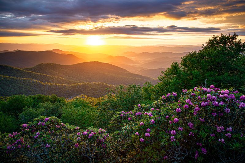 Mountain Magic: Asheville's Creative Soul Captivates Visitors