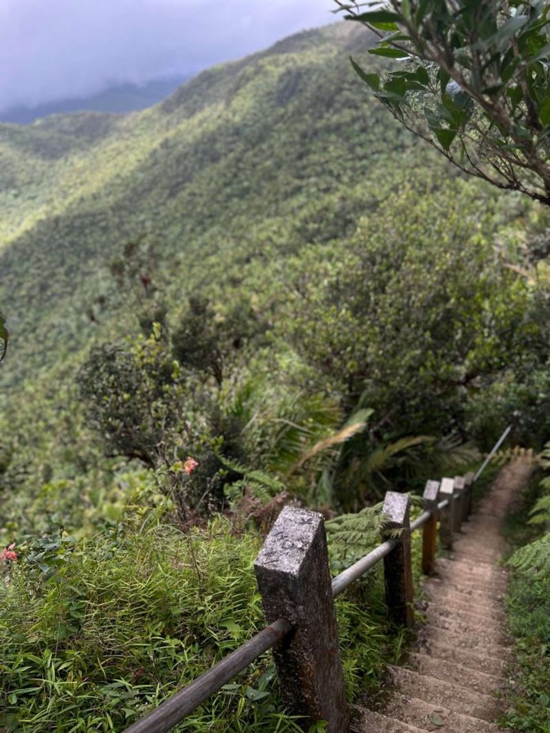 Hiking El Yunque in Puerto Rico