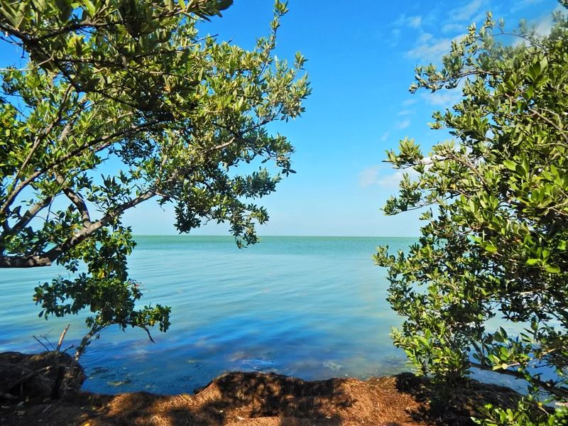 Long Key State Park's Bayside Lagoon