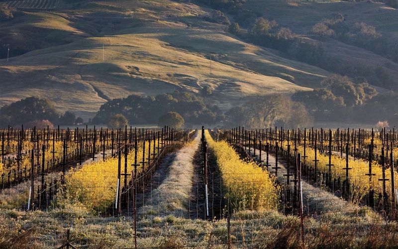 Anderson Valley's Highway 128