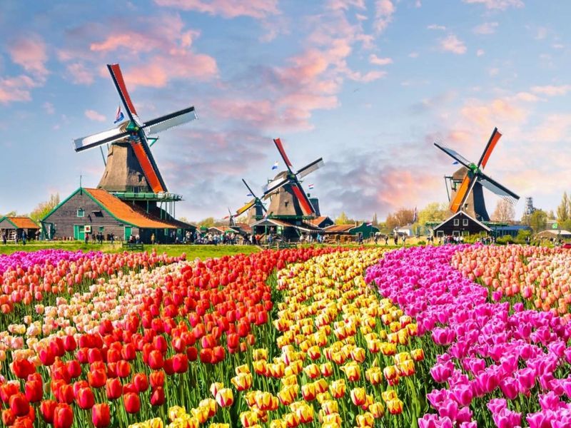 Netherlands