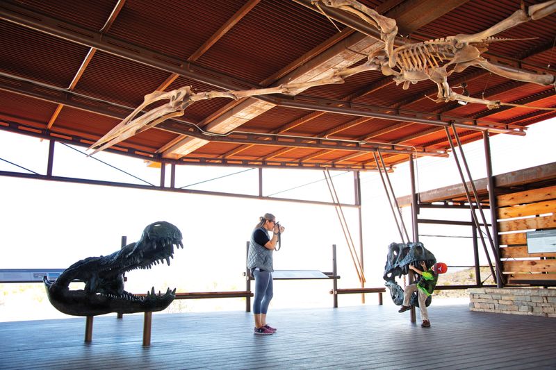 Discover Ancient Fossils and Prehistoric Secrets