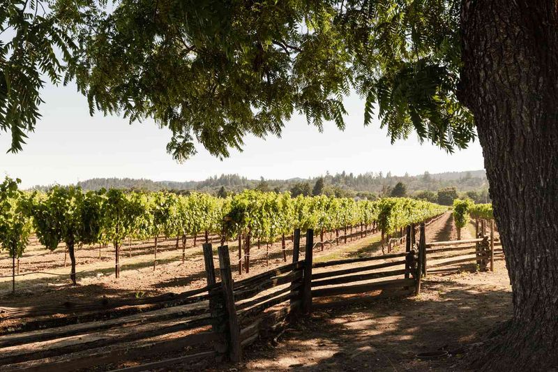 Healdsburg